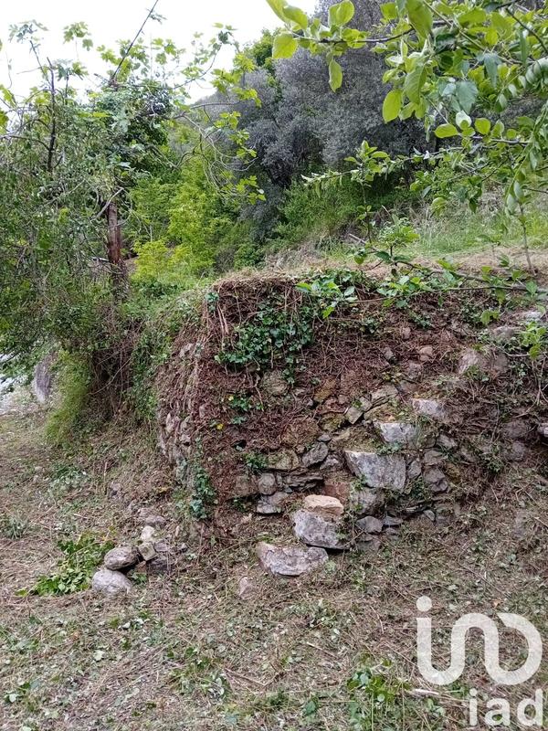 Terrain agricole - 9 300 m²