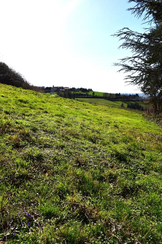 Terrain constructible - 1 245 m²
