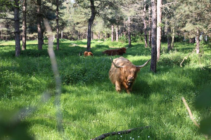 Body Nature - Visitez l'entreprise