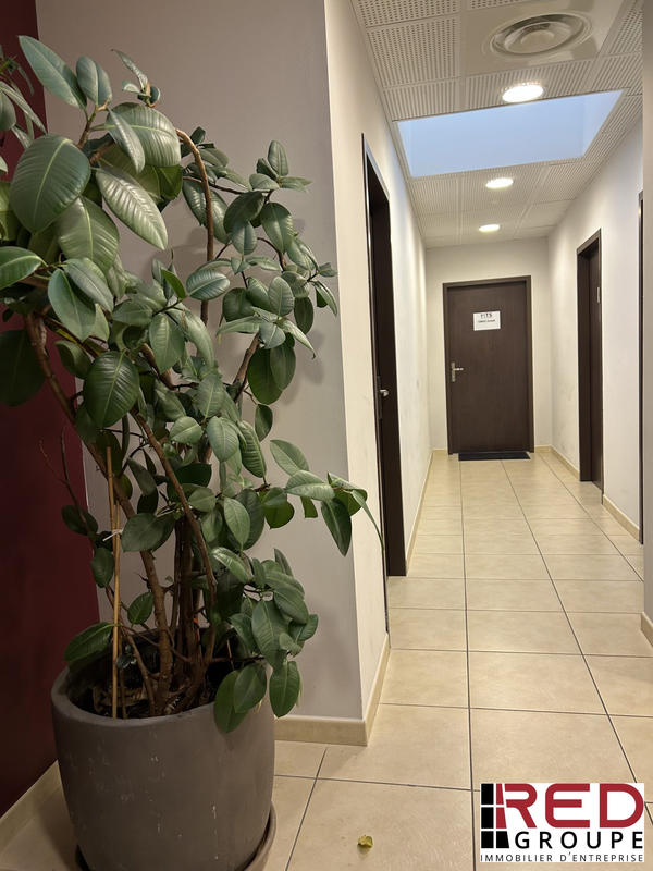 Bureau - 244 m²