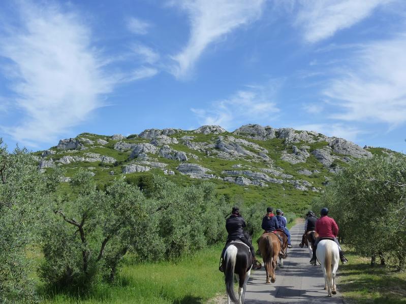 Randonnée à cheval en pension complète ou à la journée aux Ecuries du Petit Roman
