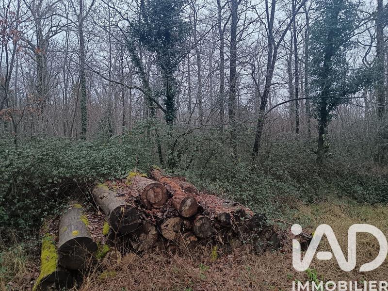 Terrain - 24 045 m²