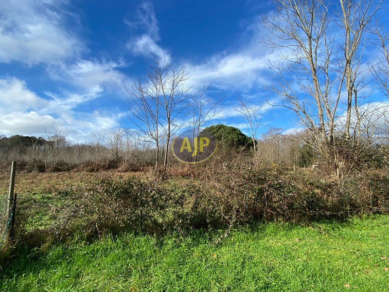 Maison - 65 m² - 3 pièces