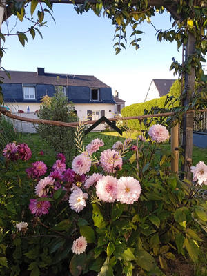 Maison - 64 m² - 3 pièces