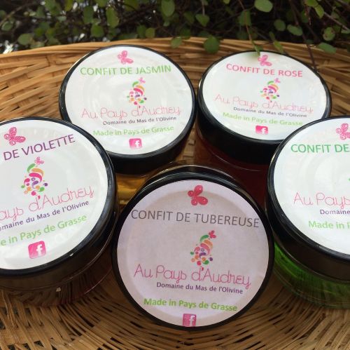 Domaine du Mas de l'Olivine