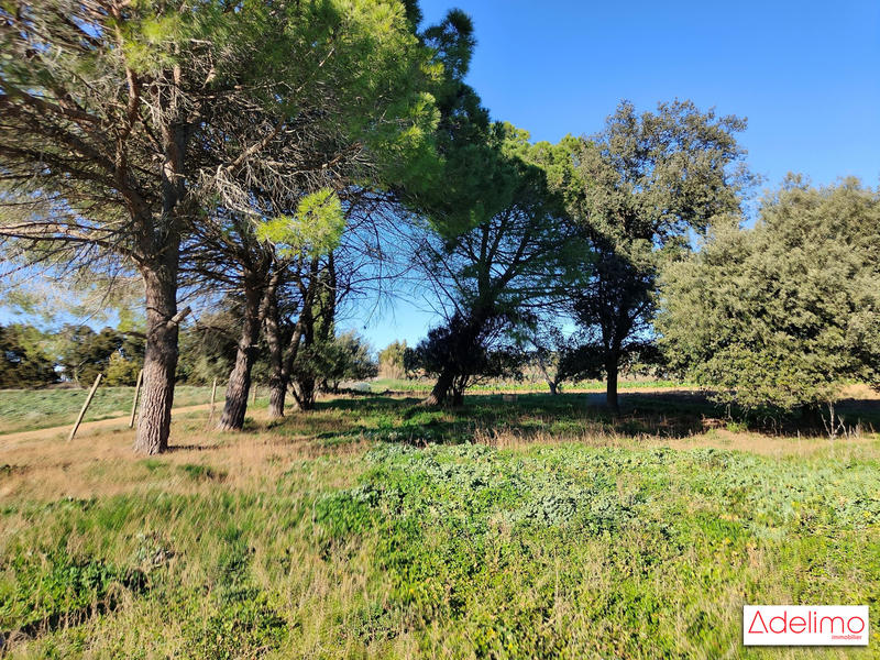 Mas - 1 582 m² - 15 pièces