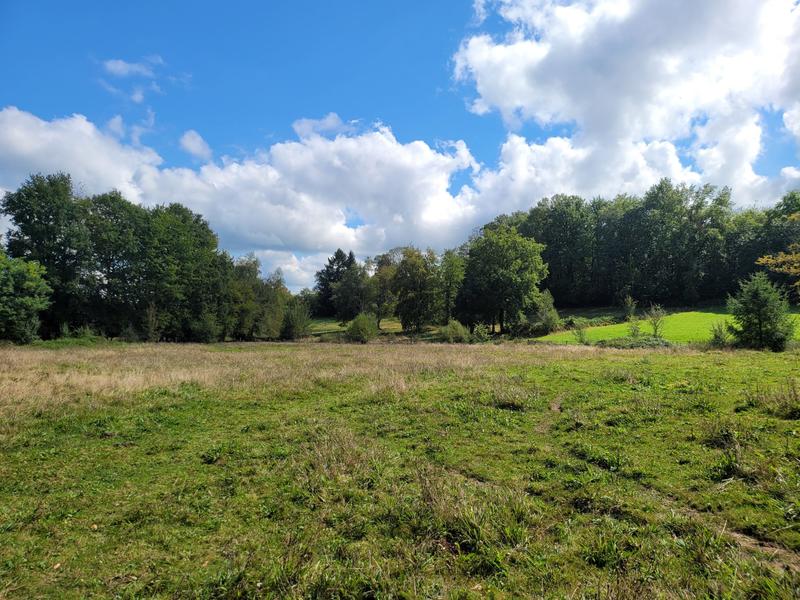 Maison - 113 m² - 5 pièces