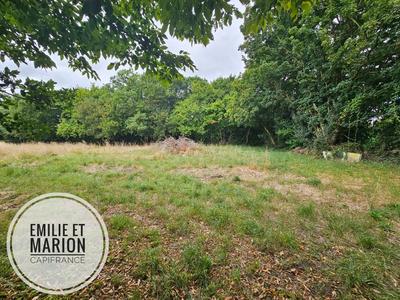 Terrain constructible - 750 m²