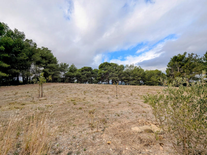 Villa - 100 m² - 4 pièces