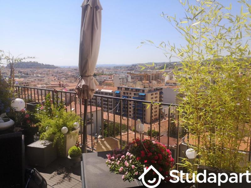 Appartement - 40 m² - 1 pièce