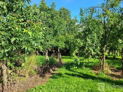 Ferme - 219 m² - 8 pièces