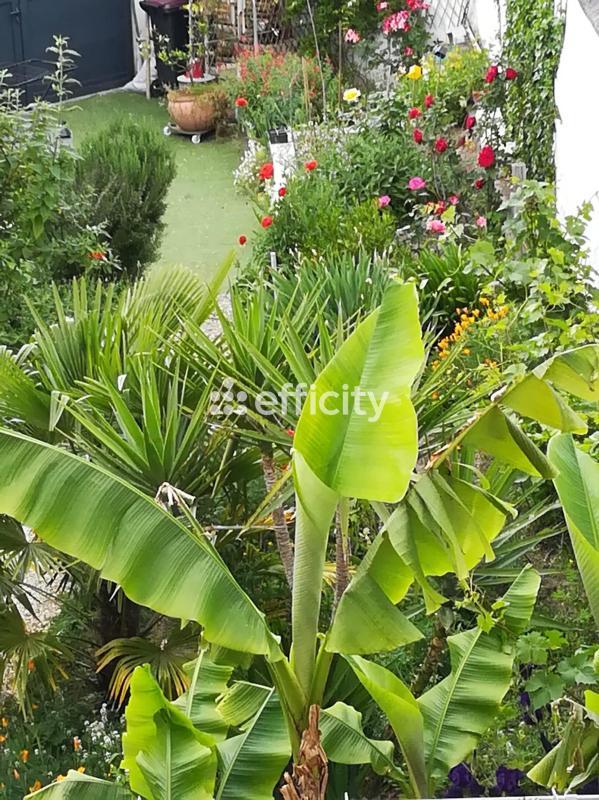 Maison - 165 m² - 7 pièces