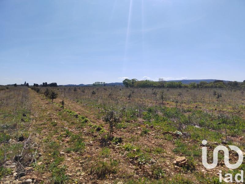 Terrain - 13 690 m²