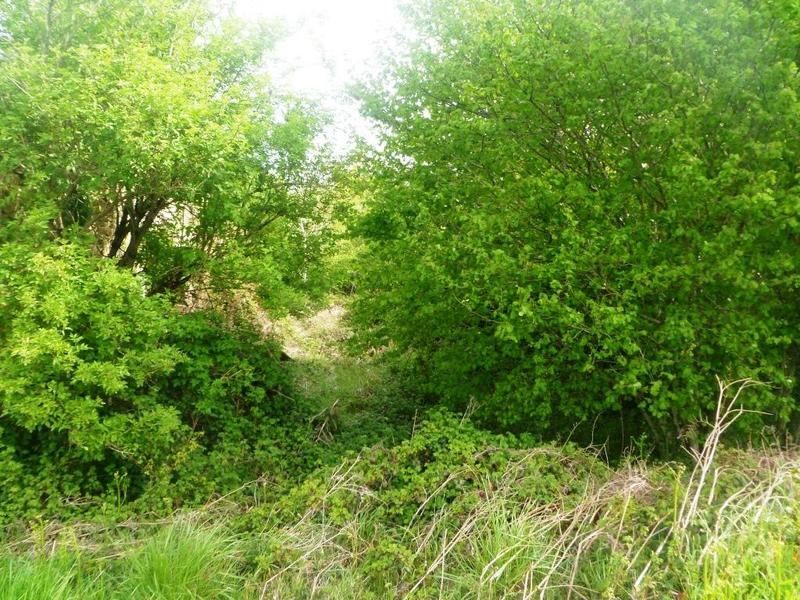 Longère - 100 m² - 2 pièces