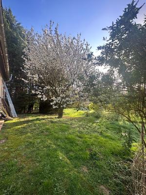 Maison - 215 m² - 10 pièces