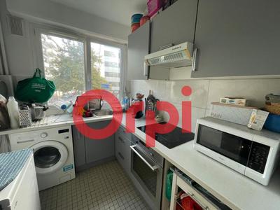 Appartement - 50 m² - 3 pièces