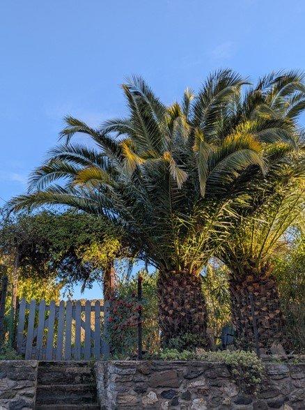 Maison - 88 m² - 5 pièces