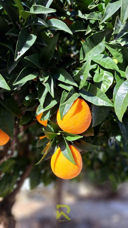 Villa - 140 m² - 7 pièces