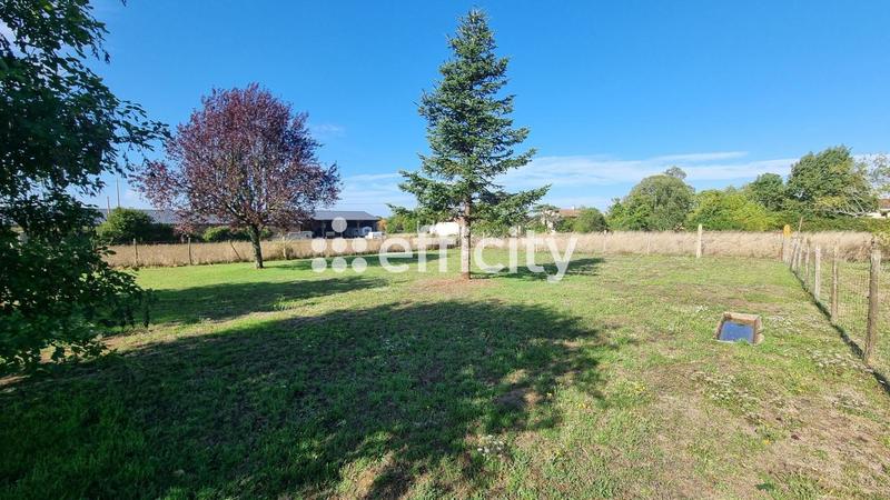 Maison - 206 m² - 5 pièces