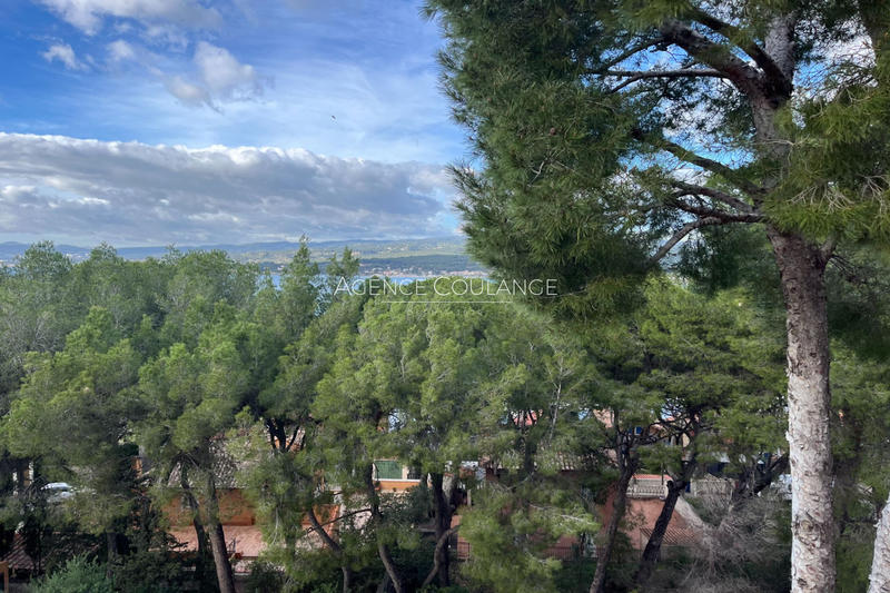 Appartement - 28 m² - 1 pièce