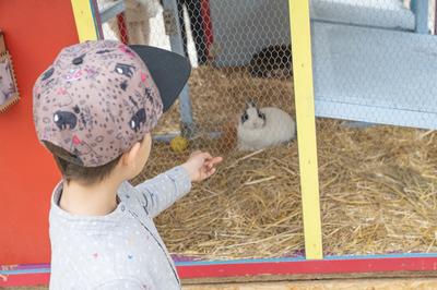 Exposition avicole de Jungholtz