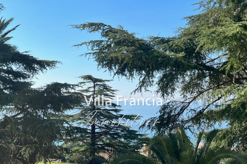 Appartement - 39 m² - 1 pièce