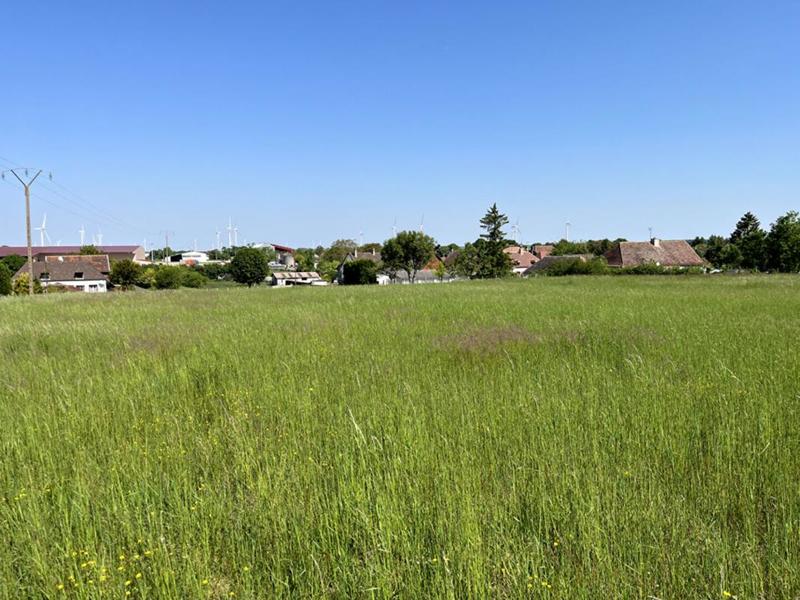 Terrain constructible - 7 090 m²