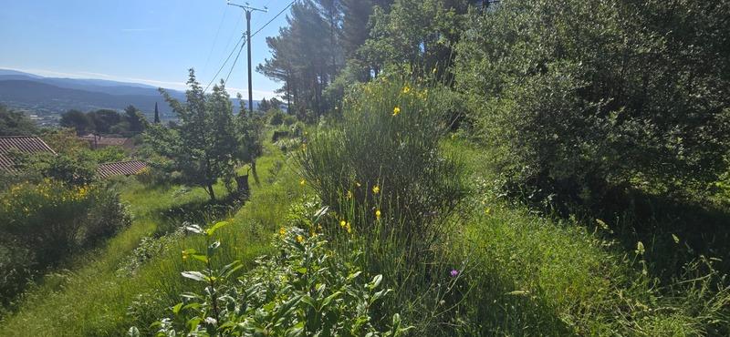 Terrain constructible - 2 000 m²