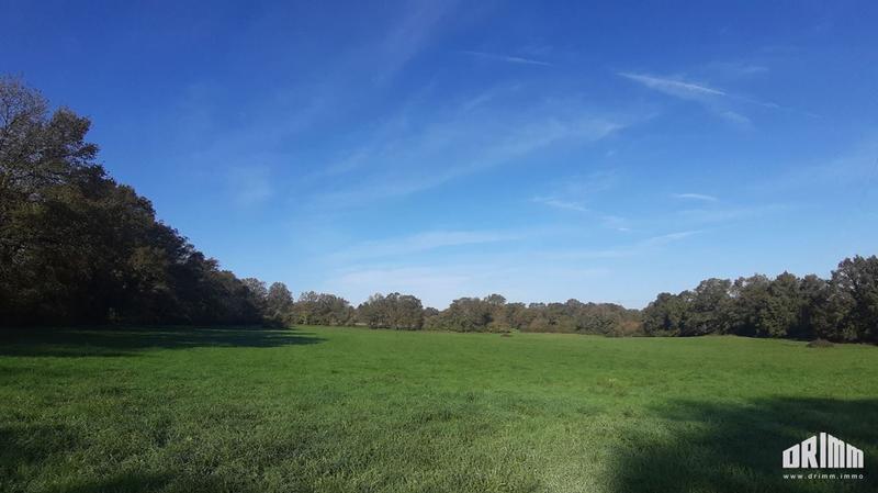 Corps de ferme - 150 m² - 5 pièces