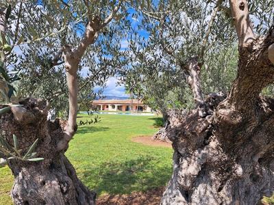 Maison - 380 m² - 8 pièces