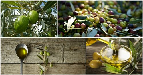 Moulin du Petit Janet