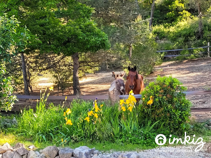 Maison - 307 m² - 15 pièces