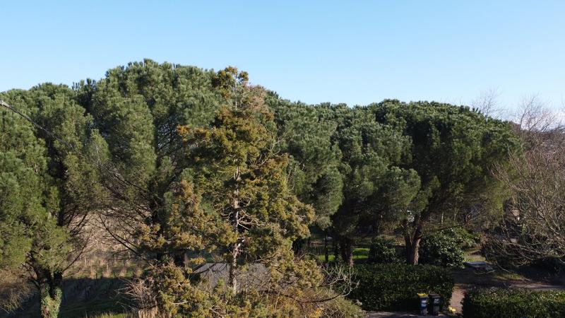 Maison - 162 m² - 5 pièces