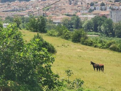 Maison - 78 m² - 5 pièces