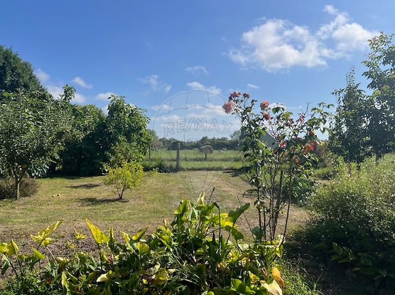 Maison - 133 m² - 4 pièces