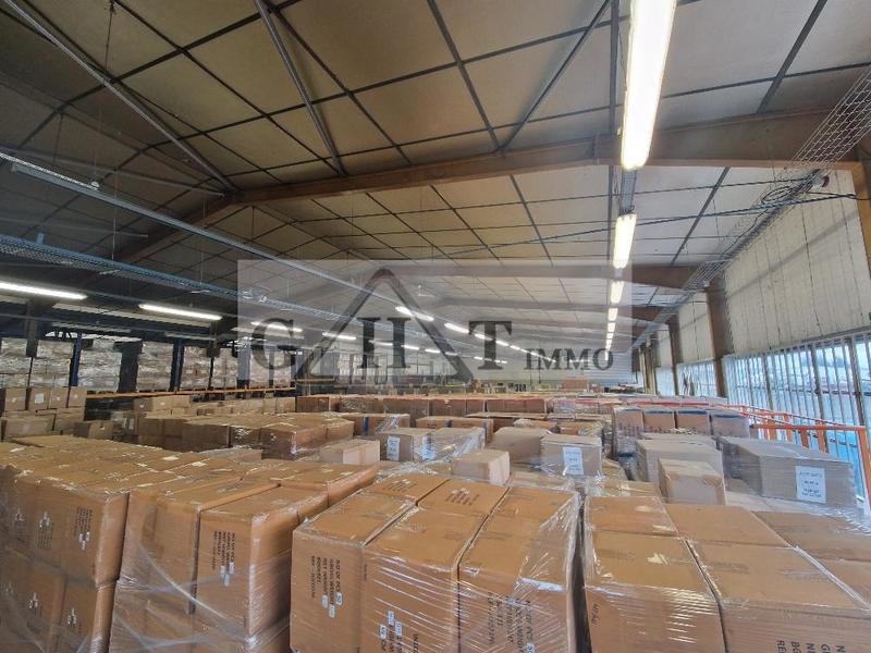 Entrepôt - 1 077 m²