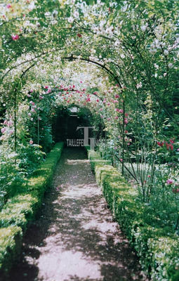 Maison ancienne - 180 m² - 7 pièces