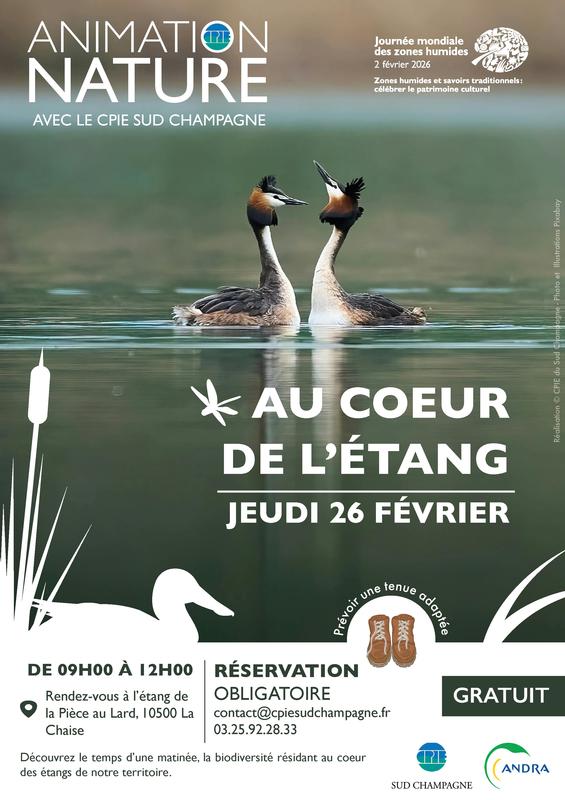 Animation nature : au coeur de l'étang