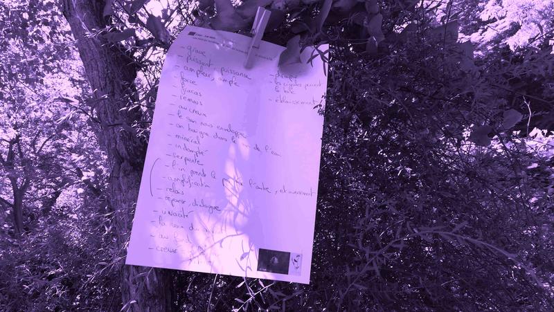 La vie en rose • Jeux poétiques &amp; Écriture créative