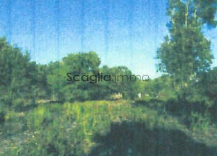 Terrain - 23 600 m²
