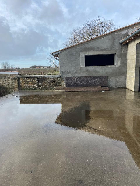 Maison - 270 m² - 5 pièces