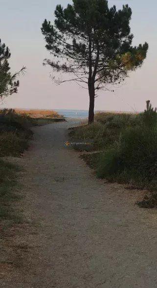 Maison - 38 m² - 2 pièces