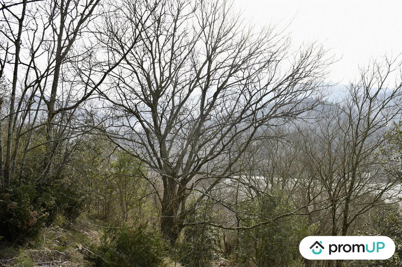 Terrain agricole - 2 780 m²