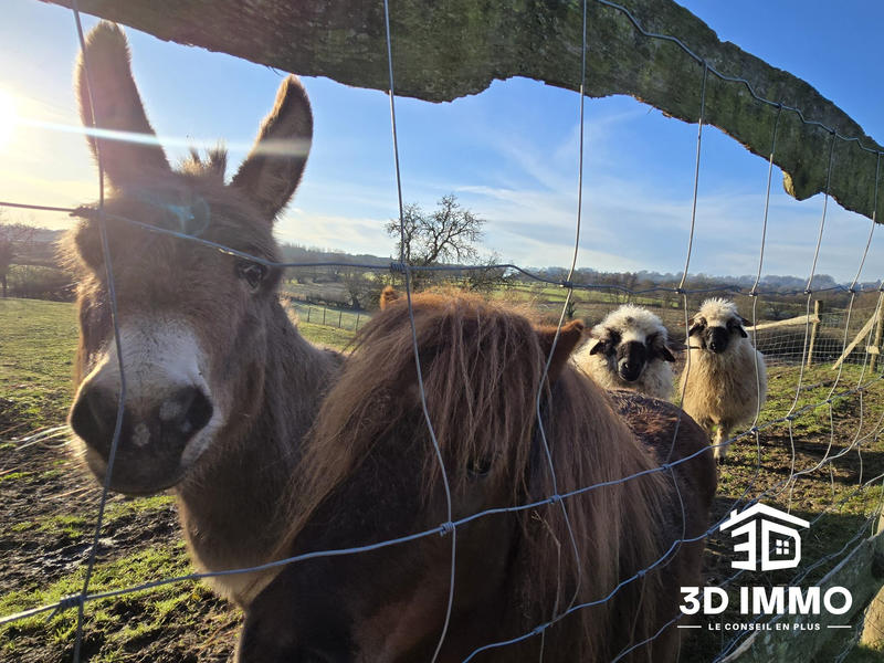 Maison - 305 m² - 7 pièces