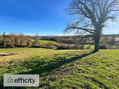 Maison en pierre - 380 m² - 8 pièces