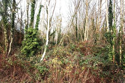 Terrain de loisirs - 4 273 m²