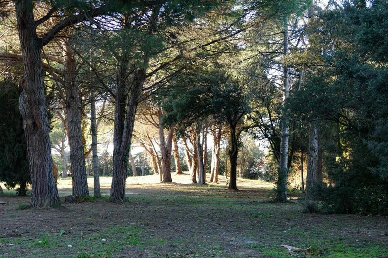 Studio - 18 m² - 1 pièce