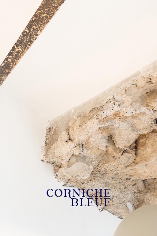 Loft - 51 m² - 2 pièces