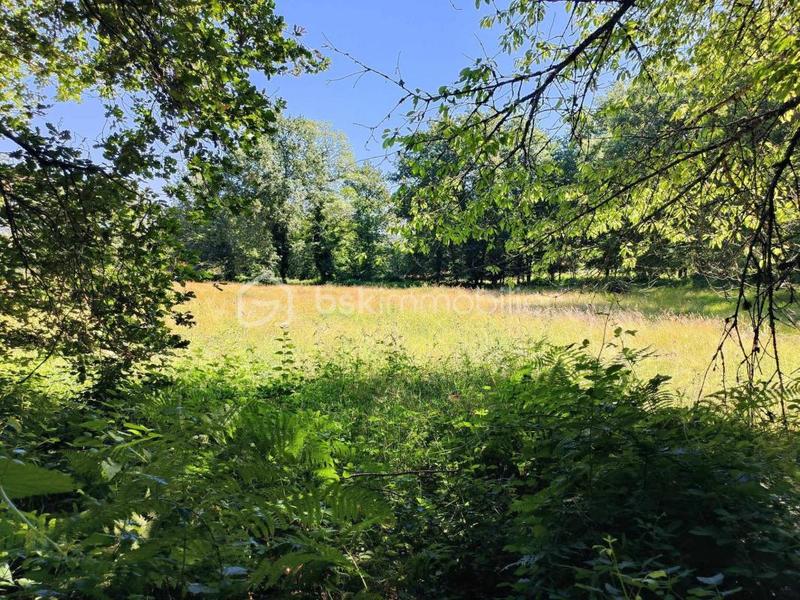 Terrain industriel - 1 633 m²