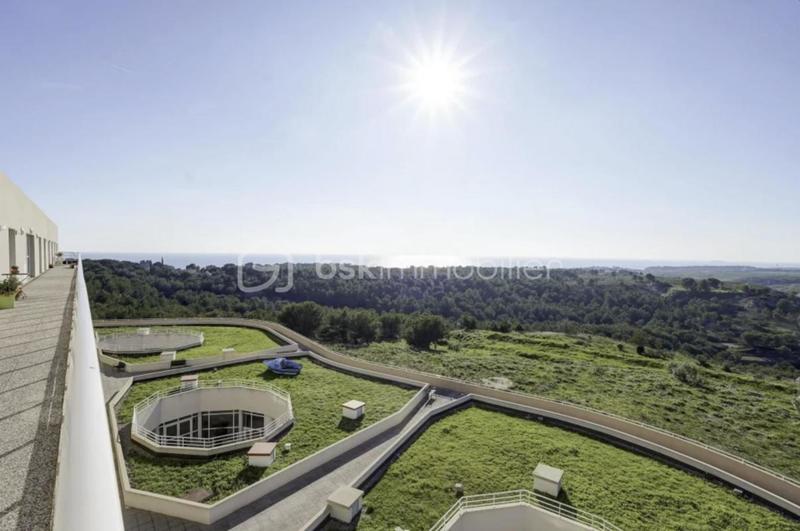 Studio - 20 m² - 1 pièce